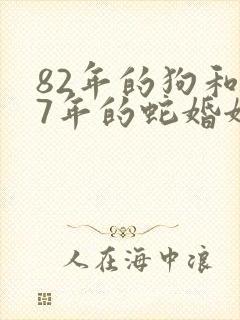 82年的狗和77年的蛇婚姻相配吗封面