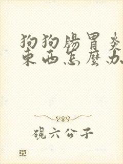 狗狗肠胃炎不吃东西怎么办封面