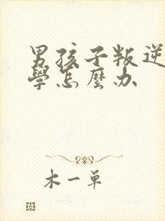 男孩子叛逆不上学怎么办