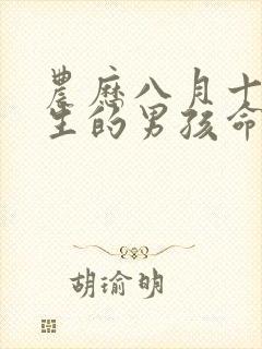 农历八月十六出生的男孩命运