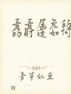 看看属兔的今天的财运如何