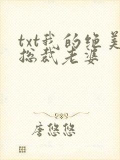 txt我的绝美总裁老婆