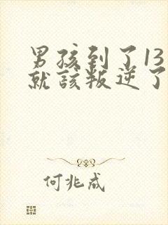 男孩到了13岁就该叛逆了怎么办封面