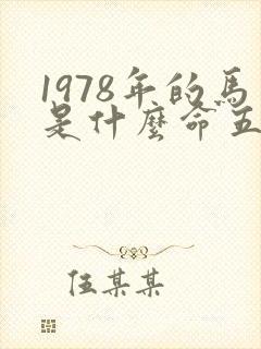 1978年的马是什么命五行属性