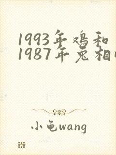 1993年鸡和1987年兔相配吗