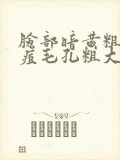 脸部暗黄粗糙长痘毛孔粗大