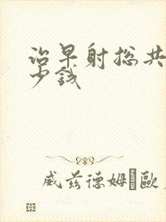 治早射总共花多少钱