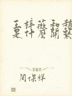 王梓薇和赵丽颖是什么关系