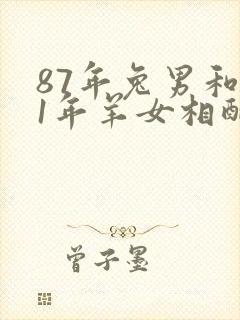 87年兔男和91年羊女相配婚姻如何