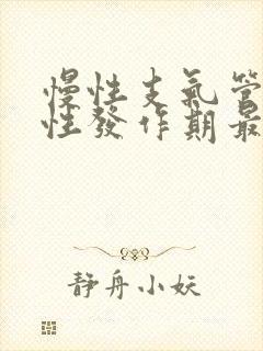 慢性支气管炎急性发作期最重要的治疗措施是