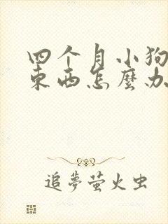 四个月小狗不吃东西怎么办