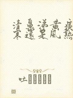 清鼻涕黄痰是风寒还是风热