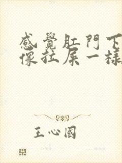 感觉肛门下坠感像拉屎一样