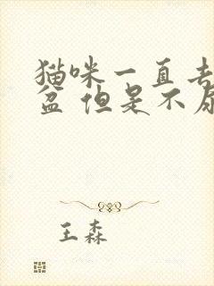 猫咪一直去猫砂盆 但是不尿封面