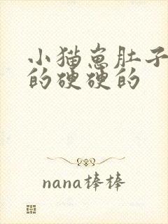 小猫崽肚子鼓鼓的硬硬的