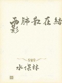 两肺散在结节状影