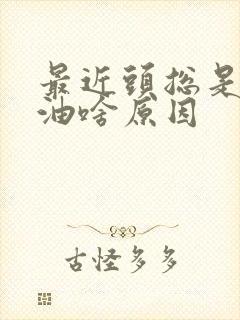 最近头总是爱出油啥原因