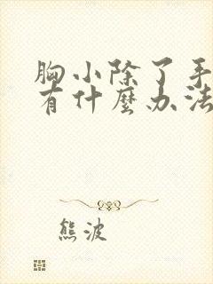 胸小除了手术还有什么办法变大