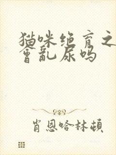 猫咪绝育之后还会乱尿吗