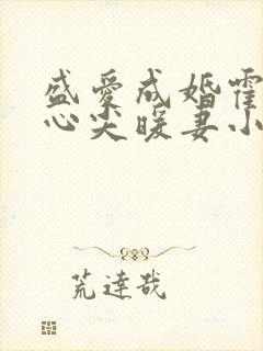盛爱成婚霍少的心尖暖妻小说封面