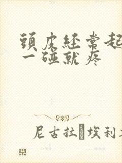 头皮经常起疙瘩一碰就疼