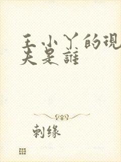 王小丫的现任丈夫是谁