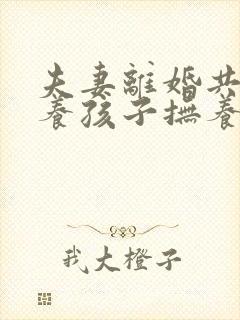 夫妻离婚共同抚养孩子抚养权归谁