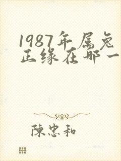 1987年属兔正缘在哪一年封面