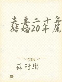 夫妻二十年夫妻结婚20年属于什么婚