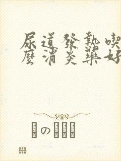 尿道发热吃点什么消炎药好呢