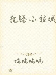 龙腾小说城封面