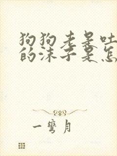 狗狗老是吐白色的沫子是怎么回事