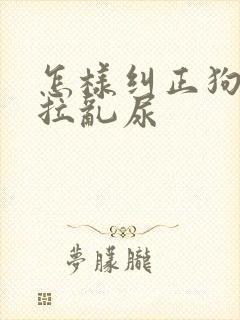 怎样纠正狗狗乱拉乱尿