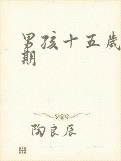 男孩十五岁叛逆期