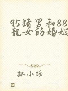 95猪男和88龙女的婚姻怎么样