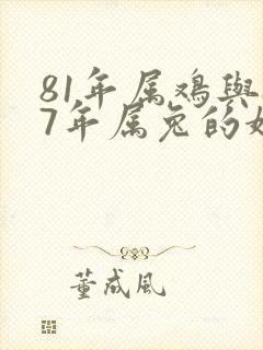 81年属鸡与87年属兔的婚配