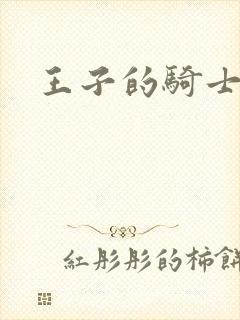 王子的骑士封面
