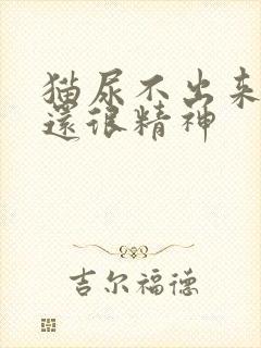 猫尿不出来但是还很精神