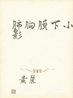 肺胸膜下小结节影