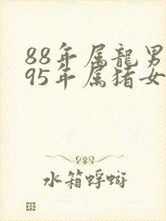 88年属龙男与95年属猪女婚配封面