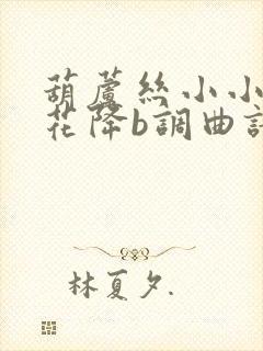 葫芦丝小小新娘花降b调曲谱