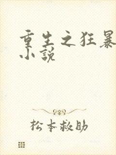 重生之狂暴火法小说封面