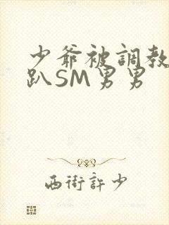 少爷被调教室跪趴SM男男