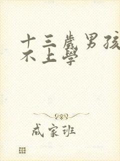 十三岁男孩叛逆不上学封面