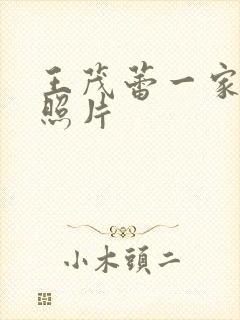 王茂蕾一家三口照片