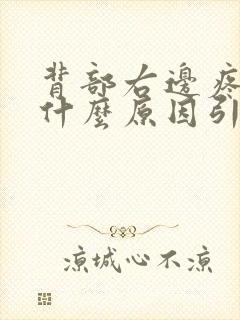 背部右边疼痛是什么原因引起的