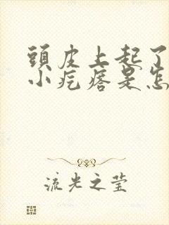 头皮上起了一些小疙瘩是怎么回事