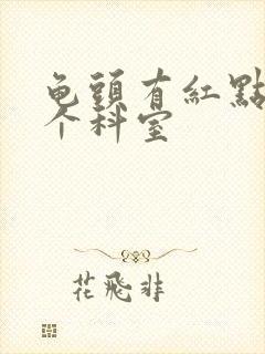 龟头有红点挂哪个科室