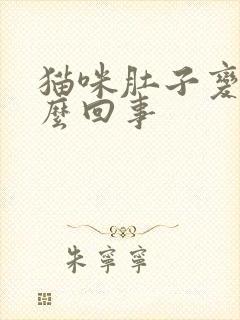 猫咪肚子变大怎么回事封面