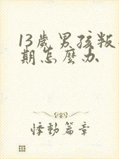 13岁男孩叛逆期怎么办封面